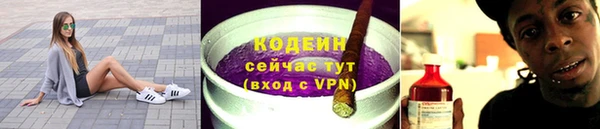 прущие грибы Алзамай