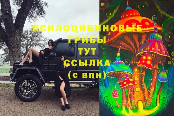 каннабис Абаза